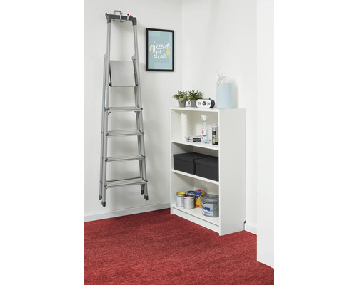 Georganiseerde opslagruimte met een aluminium trapladder aan een muurbeugel en een witte kast met opbergdozen en verfblikken.