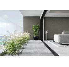 Modern balkon en woonkamer met wandbekleding in baksteenlook, siergrassen en lichte vloertegels.