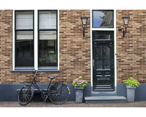Gevel met steenstrips in baksteenlook, donkere voordeur met glas, raam, twee buitenwandlampen, fiets en bloembakken.