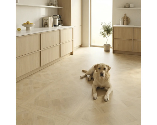 Lichte keuken met parketvloer in vlechtpatroon, lichte houten keukenkasten, wit werkblad en een hond op de vloer.