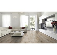 Lichte woonkamer met bank, salontafel en laminaatvloer met houtlook.