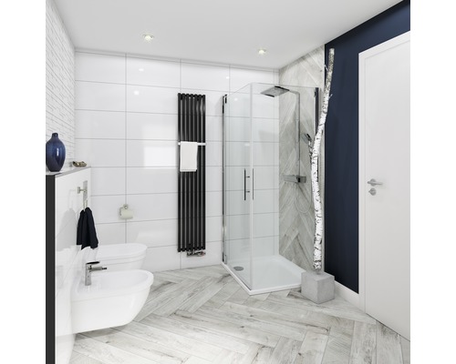 Badkamer met douche, toilet, bidet en radiator