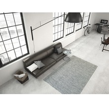 Woonkamer met bank, tapijt en bureau