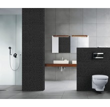Badkamer met douche, wastafel, spiegel en wandcloset.