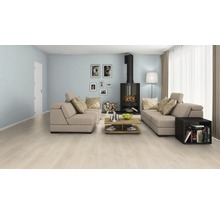 Lichte woonkamer met laminaatvloer, bank, open haard en decoratieve elementen.