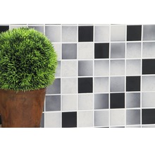 Mozaïektegelwand met potplant