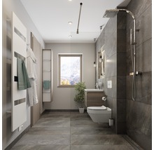 Moderne badkamer met douche, toilet, wastafel en handdoekradiator