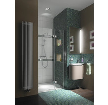 Badkamer met douche, wastafel en radiator