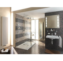 Lichte badkamer met douche, wastafel, spiegel en radiator