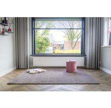 Woonkamer met tapijt, raam en decoratie