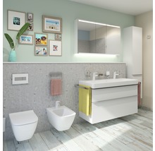 Moderne badkamer met toilet, bidet, wastafelonderkast en spiegelkast