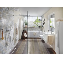 Badkamer met douche, bad, wastafel en toilet in helder design
