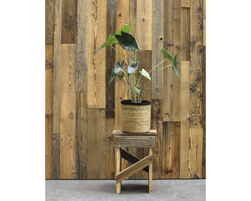Kamerplant in een pot op een kleine houten kruk voor een houten wand