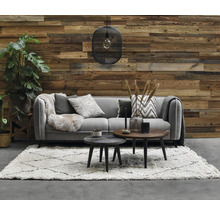 Woonkamer met bank, tapijt, salontafels, decoratie en houten wand
