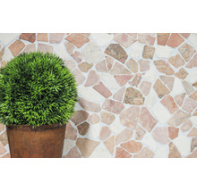 Decoratieve stenen muur met plant in pot