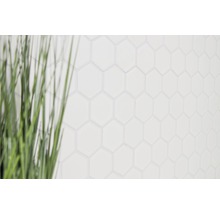 Achtergrond met witte zeshoekige tegels en onscherp decoratief gras