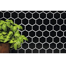 Zwarte zeshoekige tegels als wandbekleding met basilicumplant