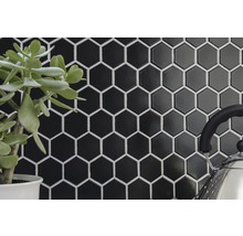 Wand met zwarte zeshoekige tegels en plant in pot