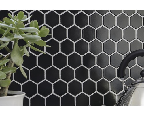 Wand met zwarte zeshoekige tegels en plant in pot