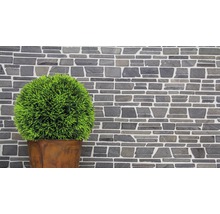 Decoratieve stenen muur met potplant