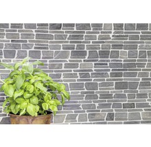Wandtegels in steenlook met basilicumplant