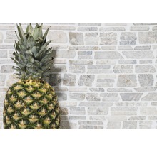 Decoratieve wand met natuursteenstrips en ananas