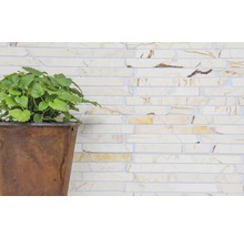 Plant in een pot voor een muur van bakstenen