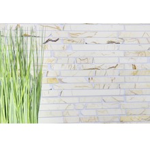 Wandtegels met steenlook en decoratief gras