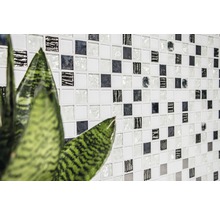Wandtegel met mozaïekpatroon en kamerplant