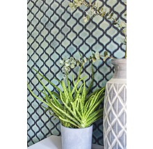 Decoratieve wand met bloemmotieven en plant in pot