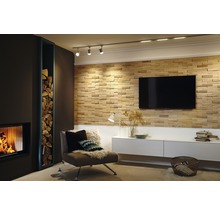 Woonkamer met open haard, houtopslag, fauteuil, tv-wand en plafondlamp