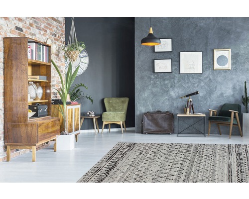 Woonkamer met een patroon tapijt, houten kast en zitmeubelen