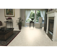 Woonkamer met lichte vloerbedekking, open haard en decoratie