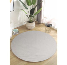 Rond vloerkleed in woonkamer met kamerplant en bijzettafel