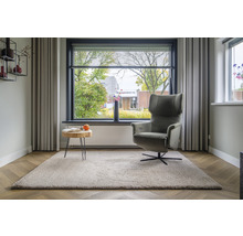 Woonkamer met tapijt, fauteuil, bijzettafel en raam
