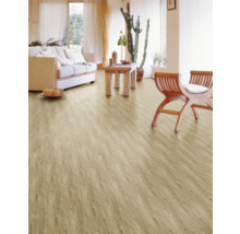 Lichte woonkamer met houten vloer, bank, tafel en stoelen.