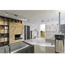 Lichte badkamer met bad, douche, toilet, wastafel, rek en open haard