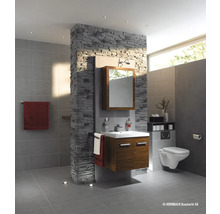 Badkamer met wastafel, spiegel, toilet en wandbekleding met steenlook