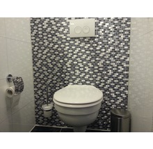 Badkamer met toilet, toiletpapierhouder, toiletborstel en prullenbak voor een wand met mozaïektegels