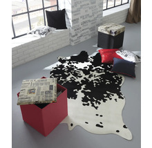 Decoratieve kamer met tapijt in koeienhuidpatroon, zitting kubussen en kussens