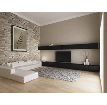 Woonkamer met bank, vloerkleed, tv en wandplank