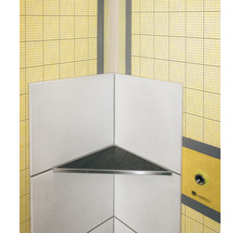 Hoekrek voor de douche met driehoekige plank