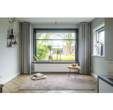 Woonkamer met vloerkleed, gordijnen en raam