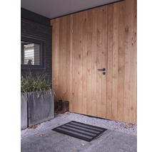 Entree met houten deur, deurmat en plantenbak