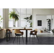 Lichte eetkamer met houten tafel, stoelen en kamerplanten voor een vriendelijke sfeer.