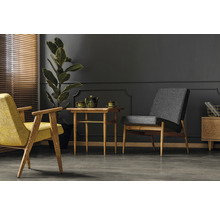 Woonkamer met fauteuil, tafel en potplant