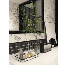 Badkamer met planten, decoraties, een luidspreker en een plank