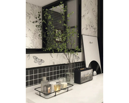 Badkamer met planten, decoraties, een luidspreker en een plank