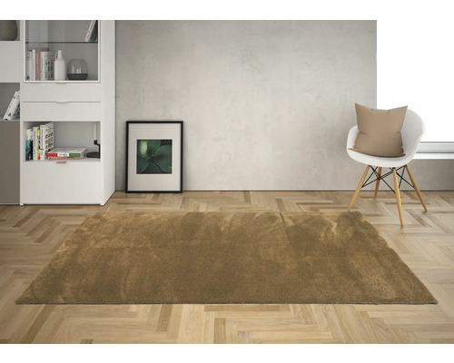 Woonkamer met bruin tapijt, plank, stoel en decoratie