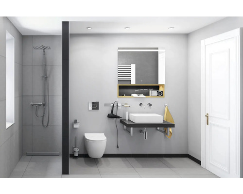 Badkamer met douche, toilet, wastafel en spiegelkast.